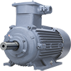 Explosion-proof electric motors AИM series